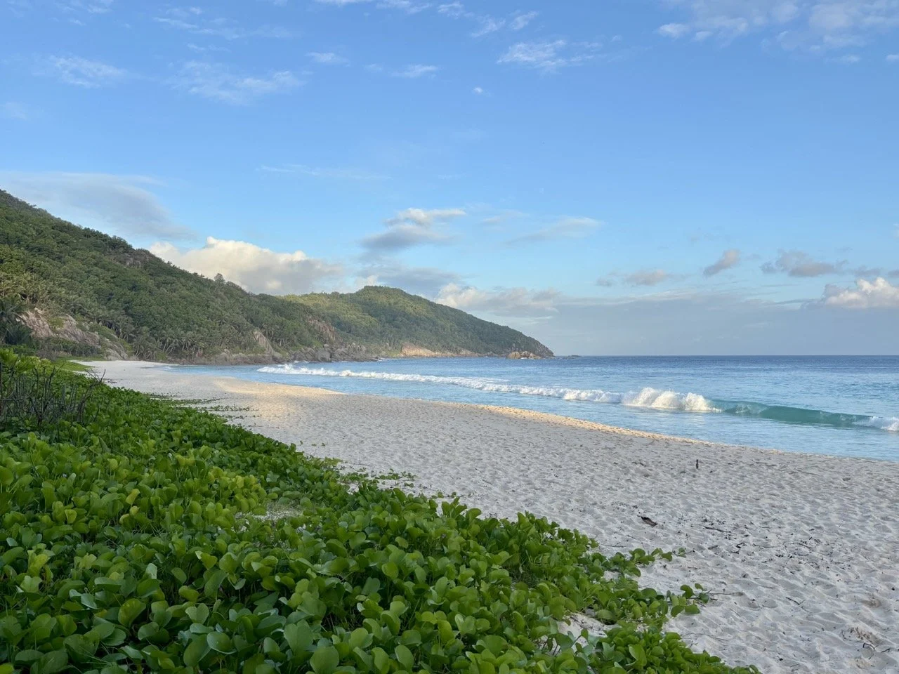 塞席爾馬埃島 Anse Intendance 的寬闊白沙灘、花崗岩巨石與翻湧海浪，呈現南部海岸原始而壯麗的景色。