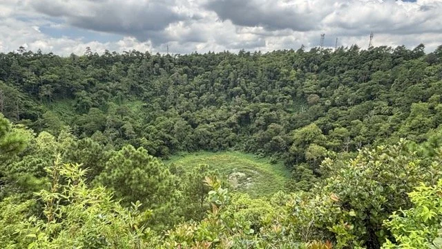 Black River Gorges 國家公園步道與雲霧森林景致，適合健行、賞鳥與生態攝影