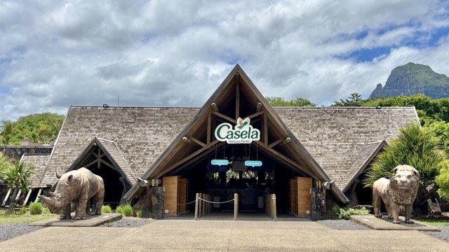 Casela Nature Parks 卡塞拉自然公園獅子互動場景，遊客在受控環境下近距離觀察與學習，呈現保育教育、動物福利與冒險旅遊的結合，適合搜尋 Casela、獅子互動、模里西斯野生動物體驗