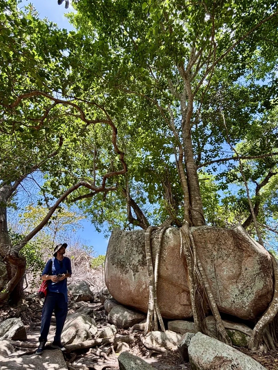 庫里厄斯島紅土自然步道穿越熱帶植物區，適合在塞席爾生態旅遊行程中進行健行與攝影。