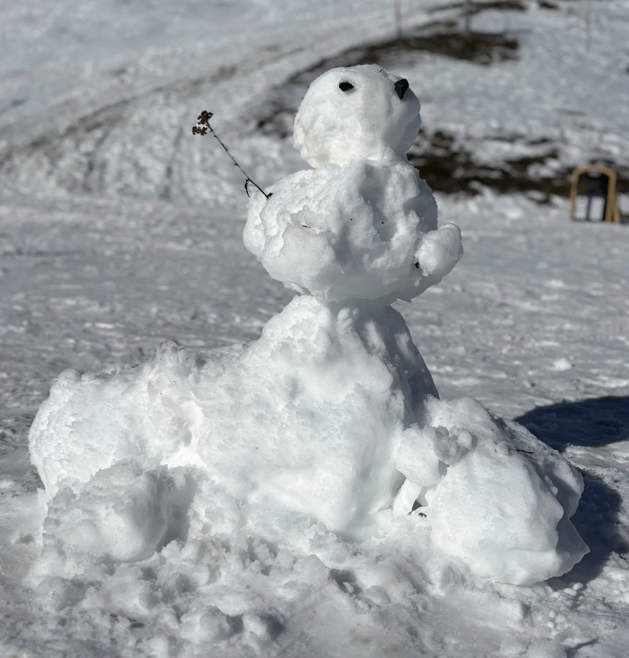 抵達指南：從日內瓦 Geneva 機場前往 Chamonix 的接駁與自駕路線說明，交通建議與時間估算；Getting there from Geneva Airport to Chamonix shuttle and driving directions with travel time estimates.