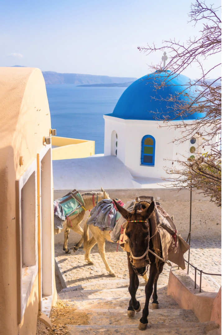 Karma Greek Restaurant 為旅客帶來完整的 Santorini 用餐體驗，結合傳統希臘美食、現烘咖啡、親切服務及 Oia 悠閒迷人的氣氛。