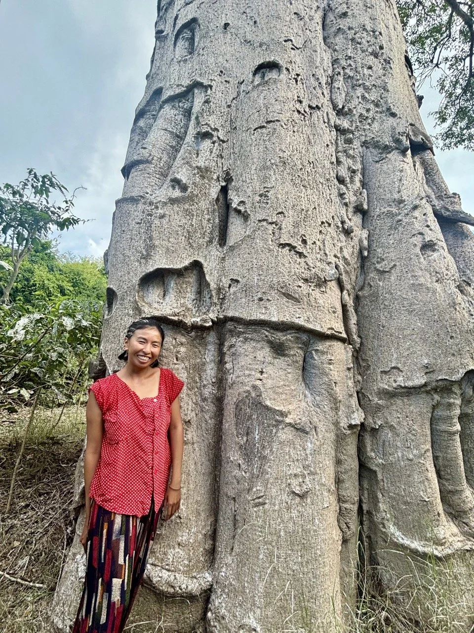 猴麵包樹樹皮紋理與細節近拍，適合素材與自然紋理攝影；Baobab bark texture close-up, ideal for natural texture photography.