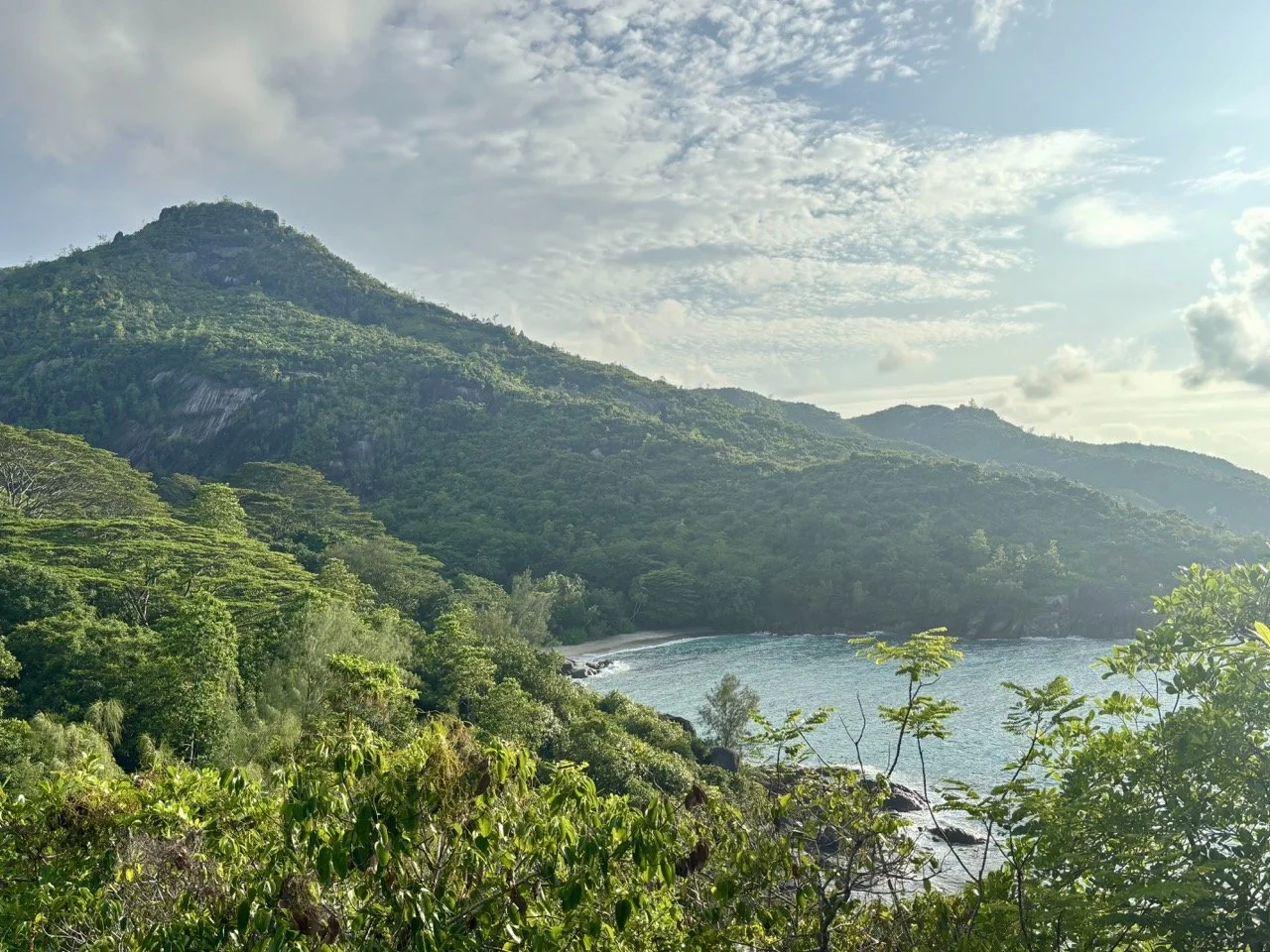 Anse Royale 清澈淺水區與珊瑚礁海域，適合拍攝馬埃島浮潛、海灘活動與悠閒海島度假生活。