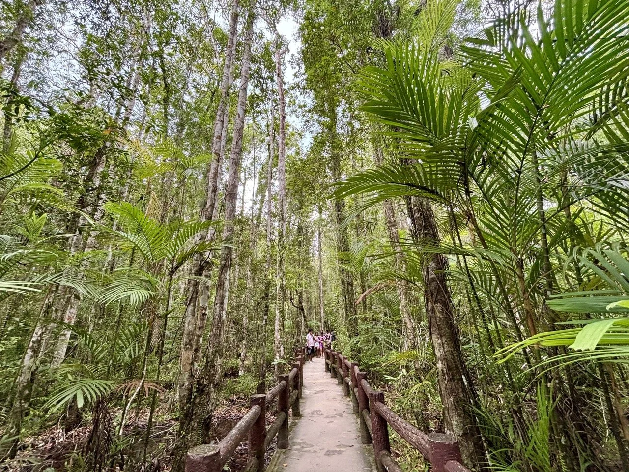 甲米虎窟寺全景風景，俯瞰泰國南部綠色山谷與石灰岩山脈，展現 Krabi 內陸地區的自然之美。 Panoramic scenery from Tiger Cave Temple in Krabi, overlooking green valleys and limestone mountains in southern Thailand.