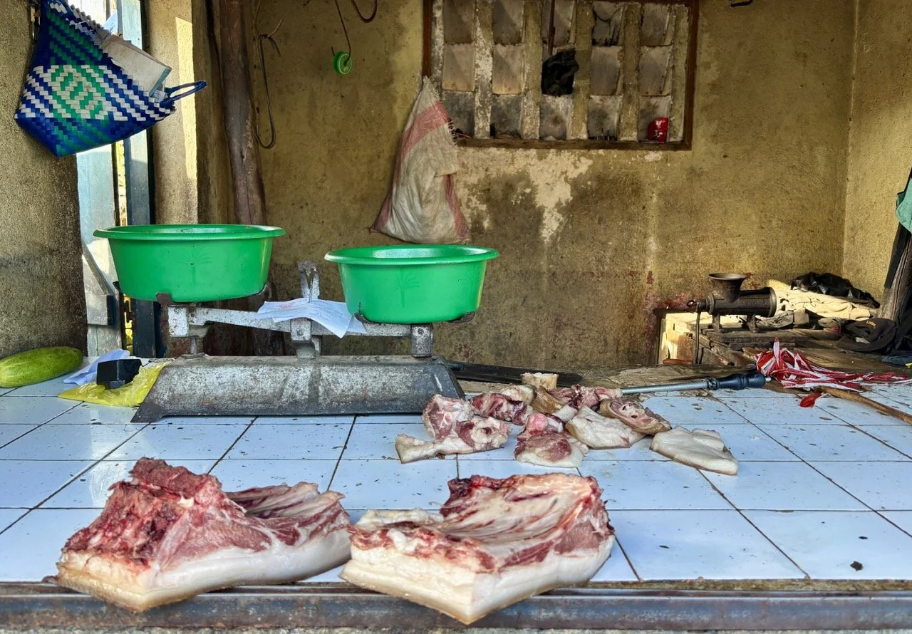 日出時分狐猴剪影，金色時刻捕捉剪影與氛圍；Lemur silhouette at sunrise — golden hour mood capture in Andasibe.