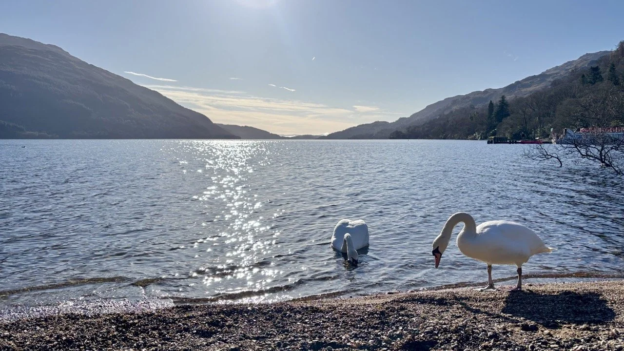 蘇格蘭高地湖泊與周圍山脈交織的自然風景，展現 Loch Awe 一帶的寧靜湖景與遼闊山色，是蘇格蘭高地旅遊、湖泊攝影及自然景點探索的代表畫面。The lochs and mountains of the Scottish Highlands create a peaceful landscape for nature photography and scenic travel.