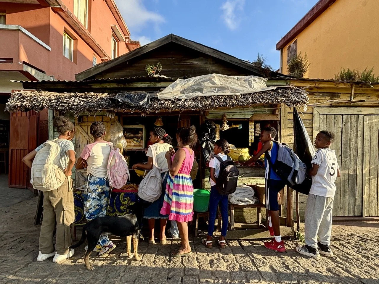 樹皮紋理特寫與自然材質攝影靈感，材質研究與構圖應用；Tree bark texture close-up — natural material photography and composition ideas.