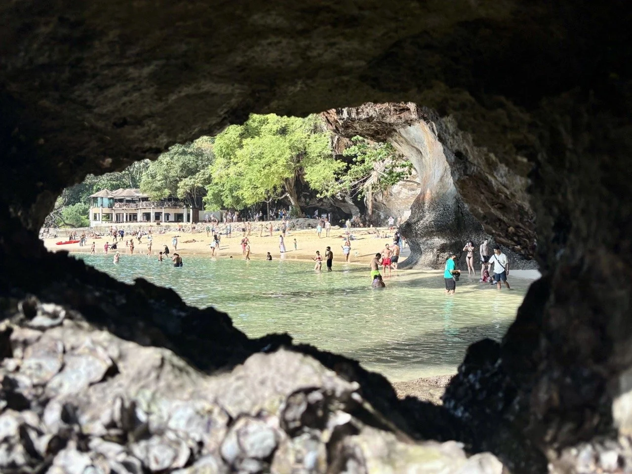 泰國甲米虎窟寺 Tiger Cave Temple，又稱 Wat Tham Suea，是結合佛教文化、山林景觀與登山步道的著名旅遊景點。 Tiger Cave Temple in Krabi Thailand, also known as Wat Tham Suea, is a famous Buddhist site surrounded by forest and hills.