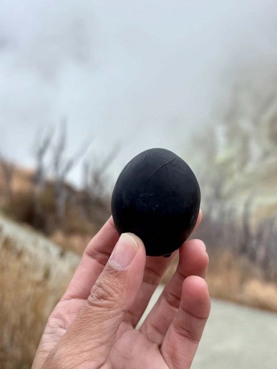 箱根大涌谷著名的黑色雞蛋，蛋殼因地熱泉水而變黑，是箱根旅遊不可錯過的特色美食。