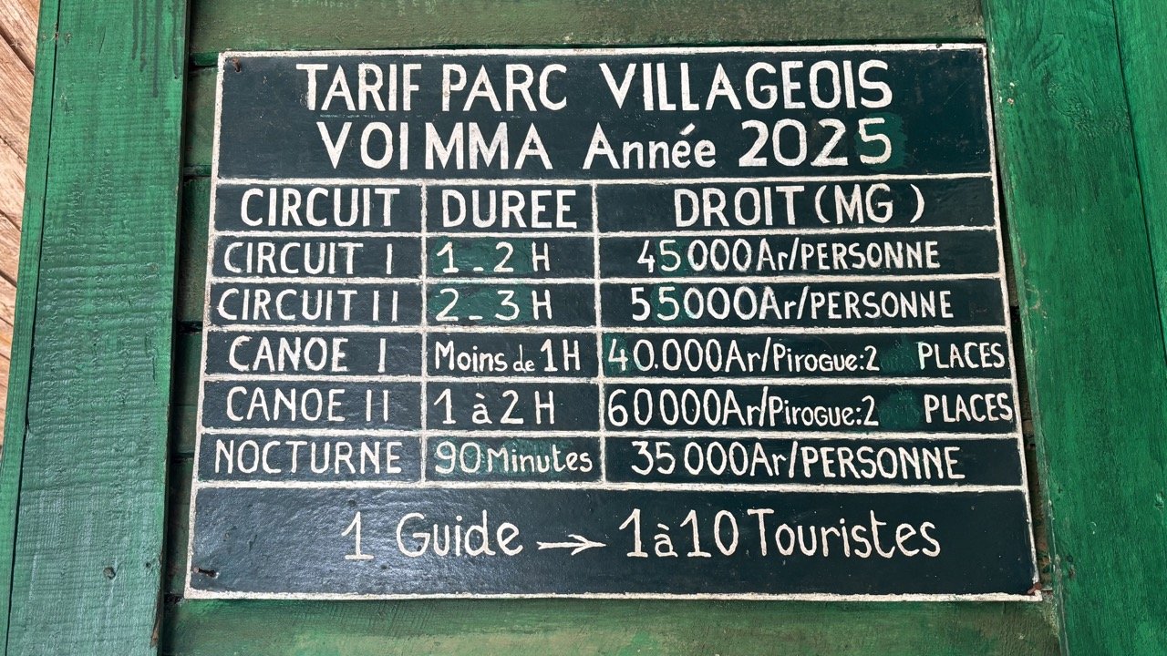 狐猴社交梳理行為紀錄，動物行為學與親密互動攝影素材；Lemur social grooming behavior — animal behavior and intimate interaction shots.