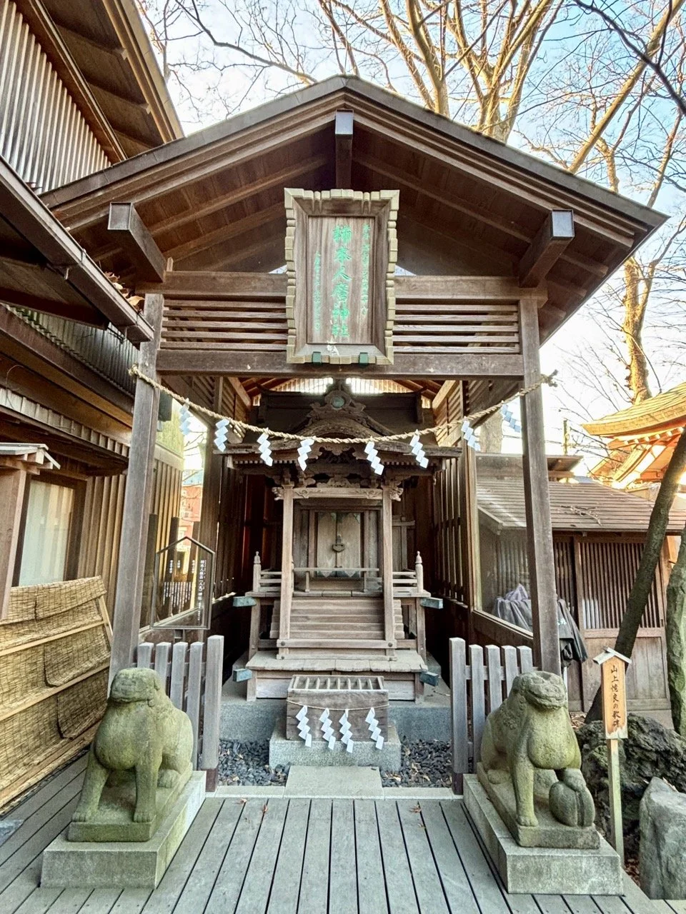 川越冰川神社夏季風鈴景觀，五彩風鈴營造夢幻日式氛圍與浪漫攝影場景。