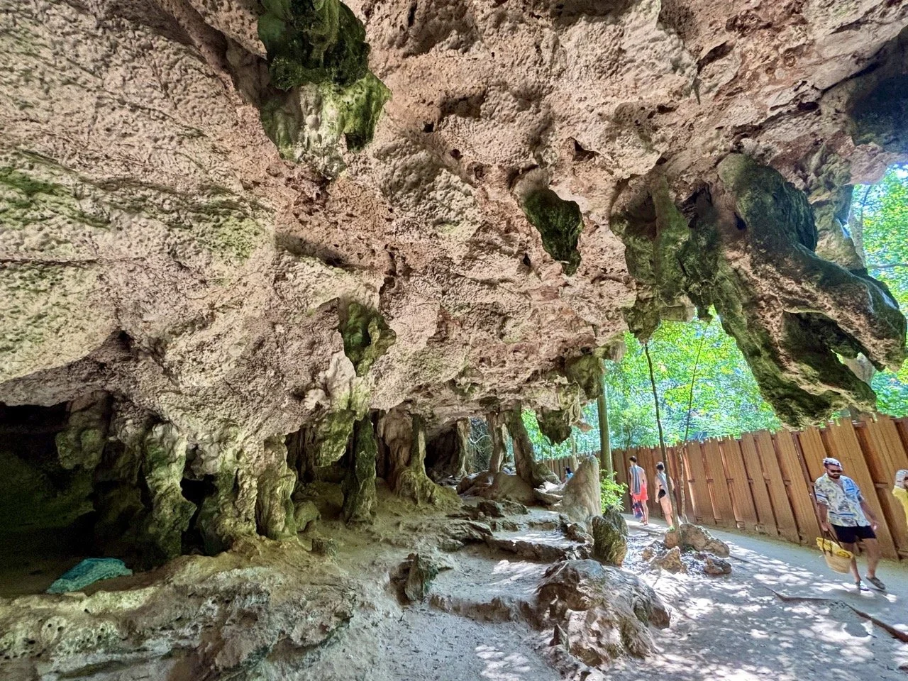 甲米溫泉瀑布森林水池，綠色植物環繞天然溫泉，是 Krabi Hot Springs 旅遊行程中放鬆身心的自然體驗。 Forest pools at Krabi Hot Springs, surrounded by tropical greenery for a relaxing nature experience.
