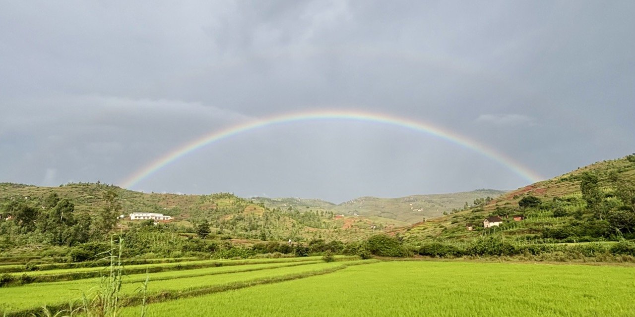 梯田金色時刻：夕陽將田面染成金黃，層次分明的田埂成為強烈前景線條；Terraced fields at golden hour — sunlit paddies turn golden while terraced ridges create striking leading lines.