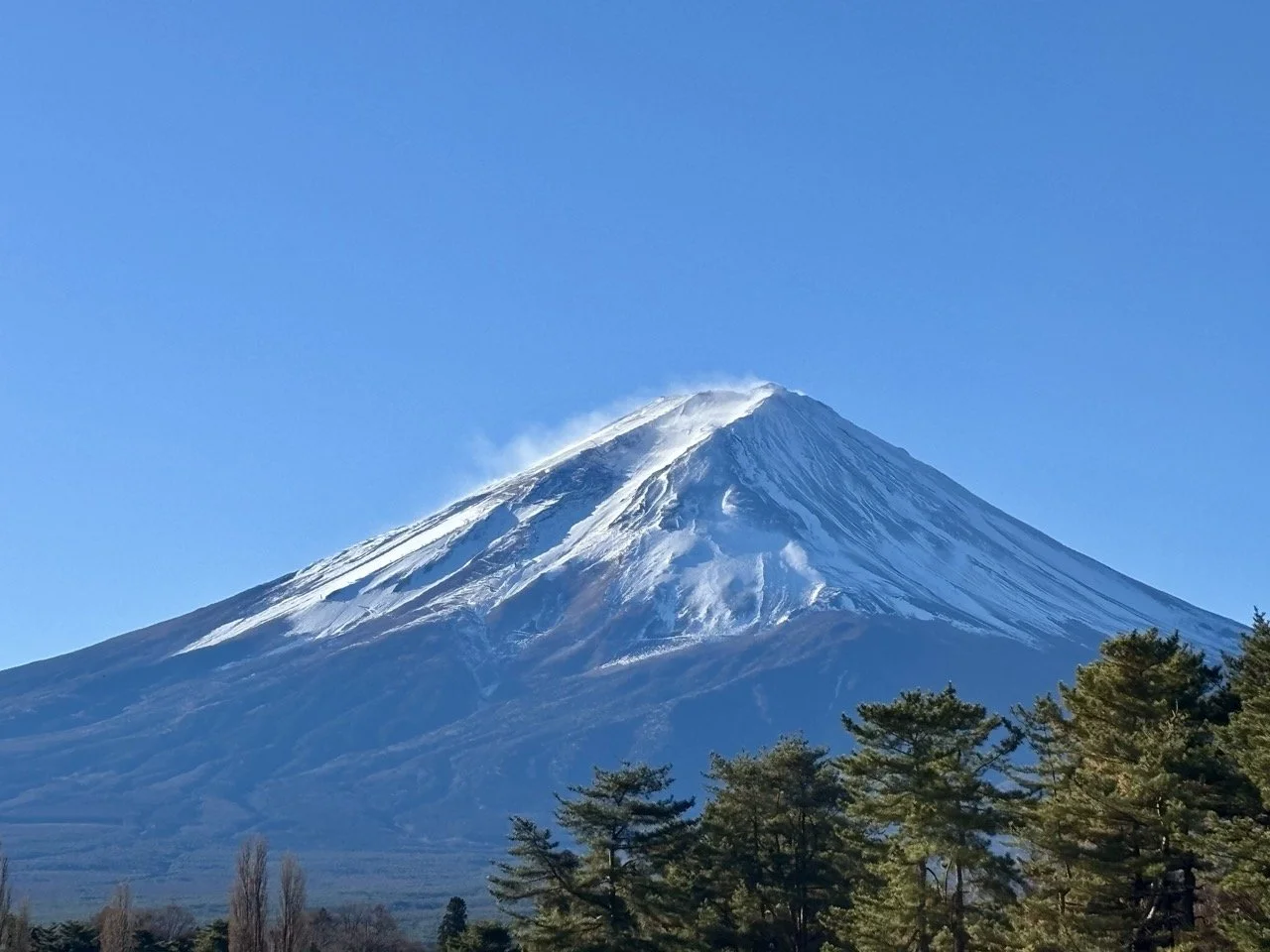 河口湖淺間神社的傳統鳥居與參道景色，周圍被高大杉木包圍，是河口湖行程中寧靜的文化景點。