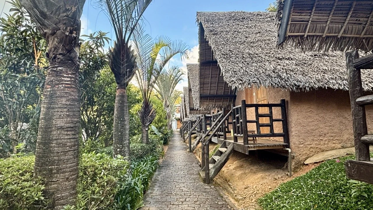 生態旅宿房景與窗外雨林視野，住宿拍攝與旅客體驗推薦；Eco‑lodge room view overlooking rainforest — lodging photography and guest experience.