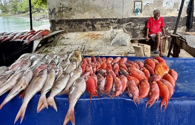 清晨漁民回港卸魚的生活紀實，適合拍攝海岸社區與當地人日常。 Documentary scene of fishermen docking early morning and unloading catch—captures coastal community daily life.