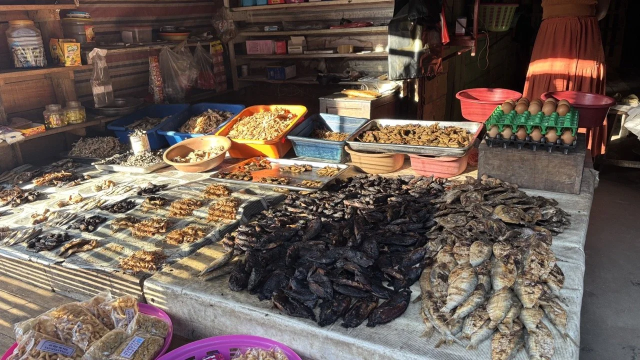 熱帶雨林行李與攝影裝備示範：防潮袋、備用電池與快乾衣物；Pack for rainforest: waterproof gear, spare batteries and quick‑dry clothing.