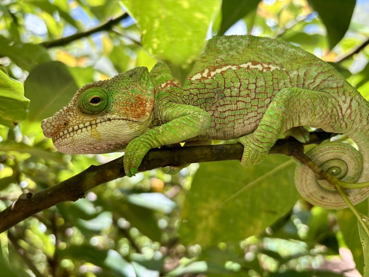 旅客行為指引標語（保持距離與尊重野生動物），保育教育與遊客服務重要信息；Visitor respect signage — keep distance and respect wildlife message.