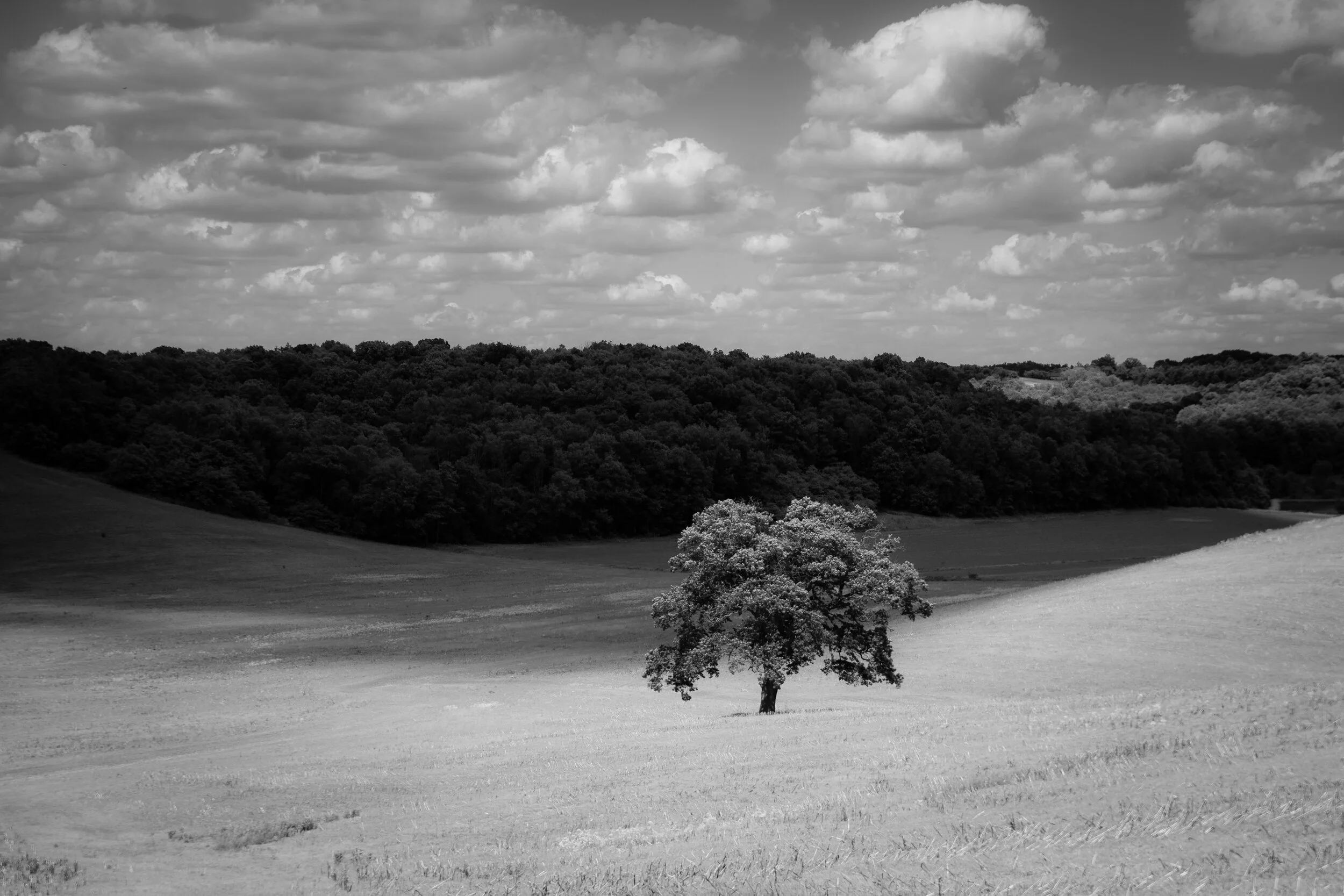 Isolation