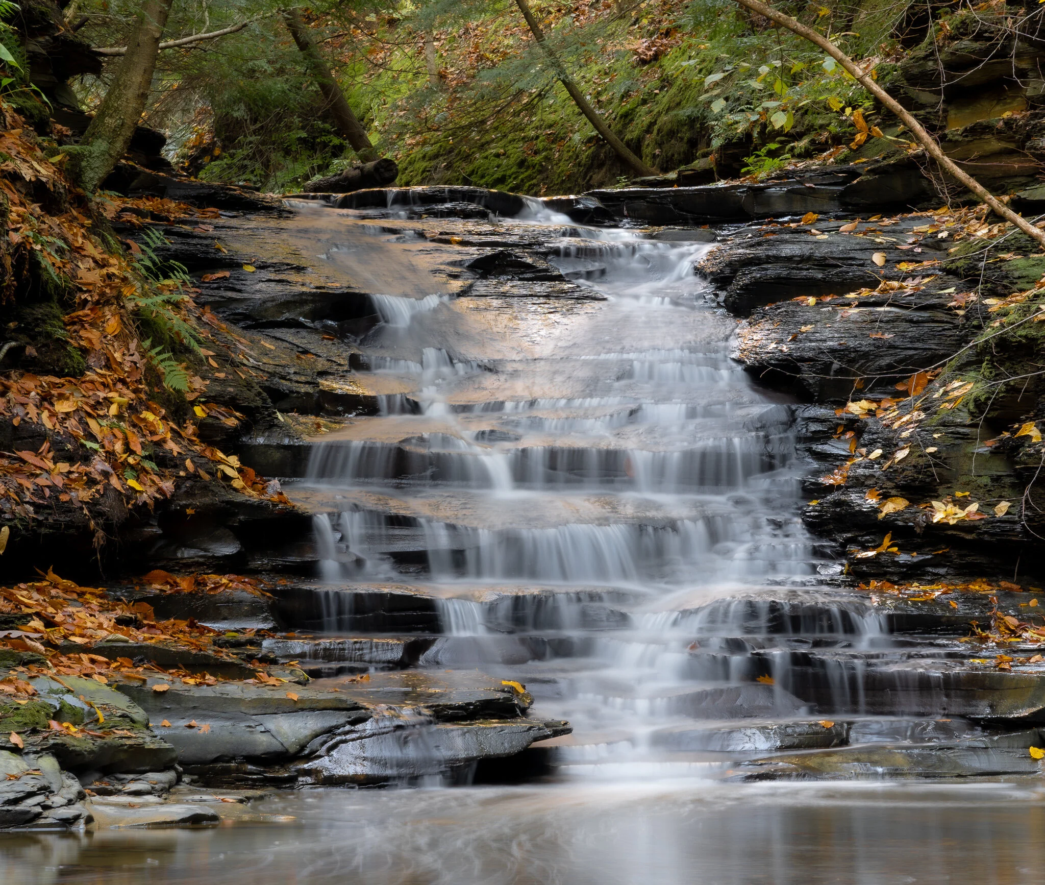_DSC1248-2.jpg