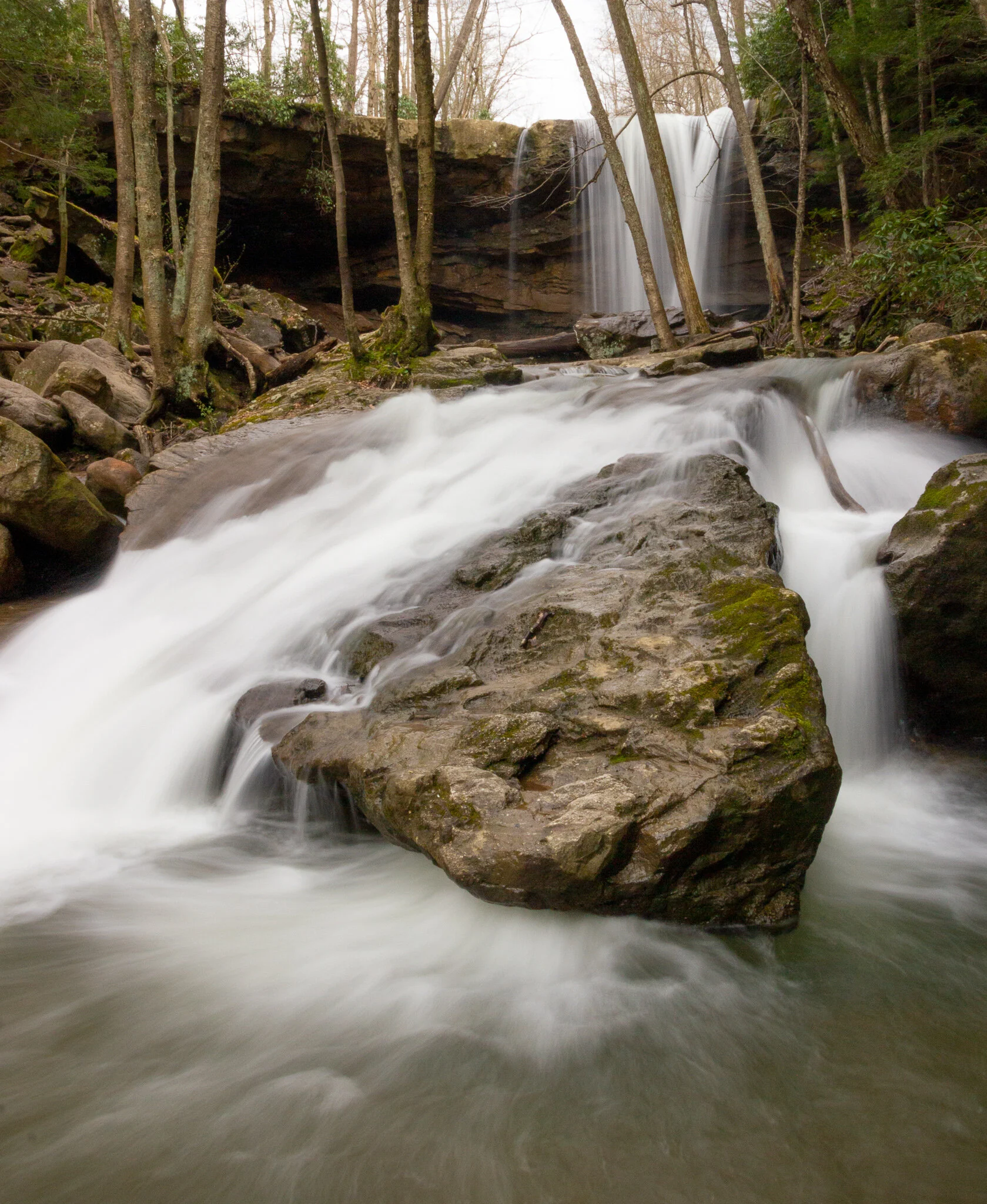 _MG_8997.jpg