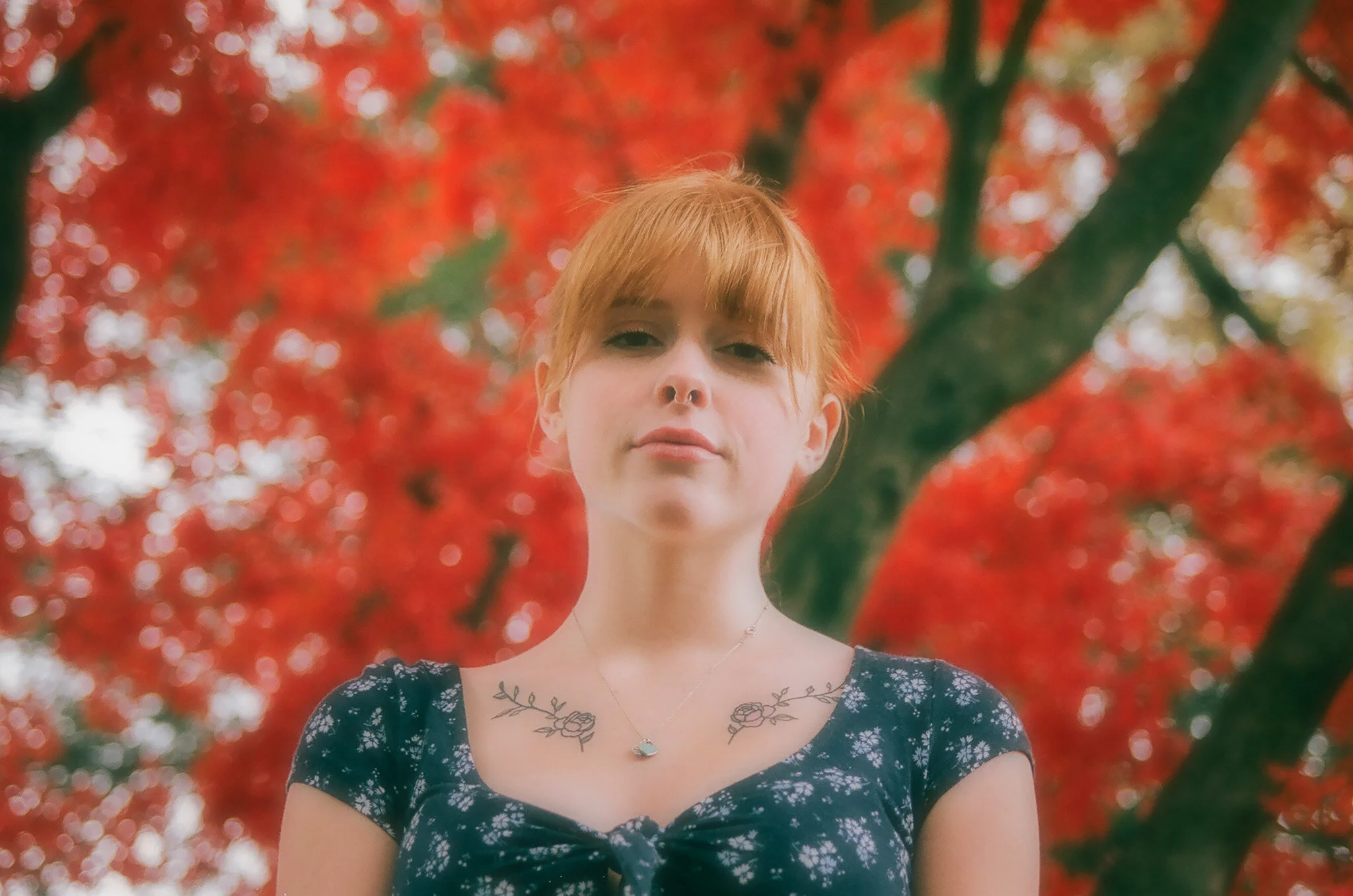 needPSLIV-6.jpg