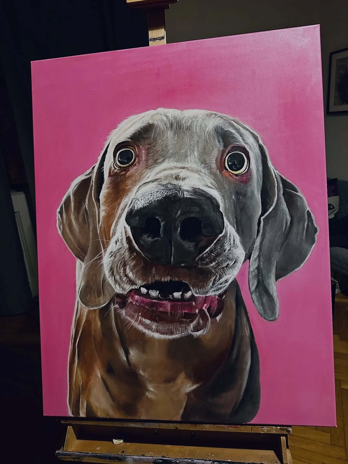 Another happy doggo left my studio this week 🐶 So few pics for your better day 🫶🏻

Thank you for this commission @slvovska 🙏🏻 

#dejvidjonesart #dogportraits #dogpainting #realisticpainting #realisticpaintings #pragueartist #realismartist #reali