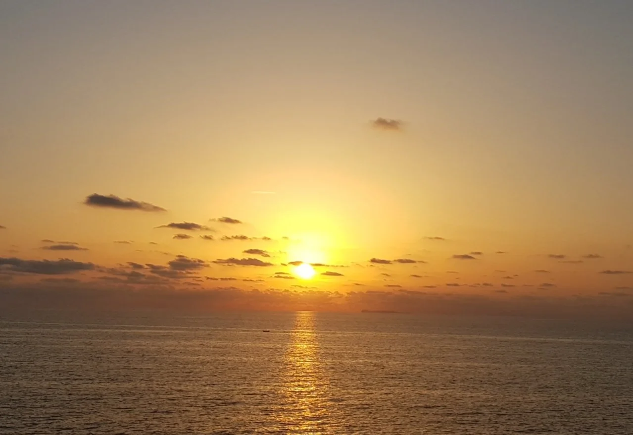 8251652f-c4e0-435a-a1ab-1c6a451549e9.jpeg