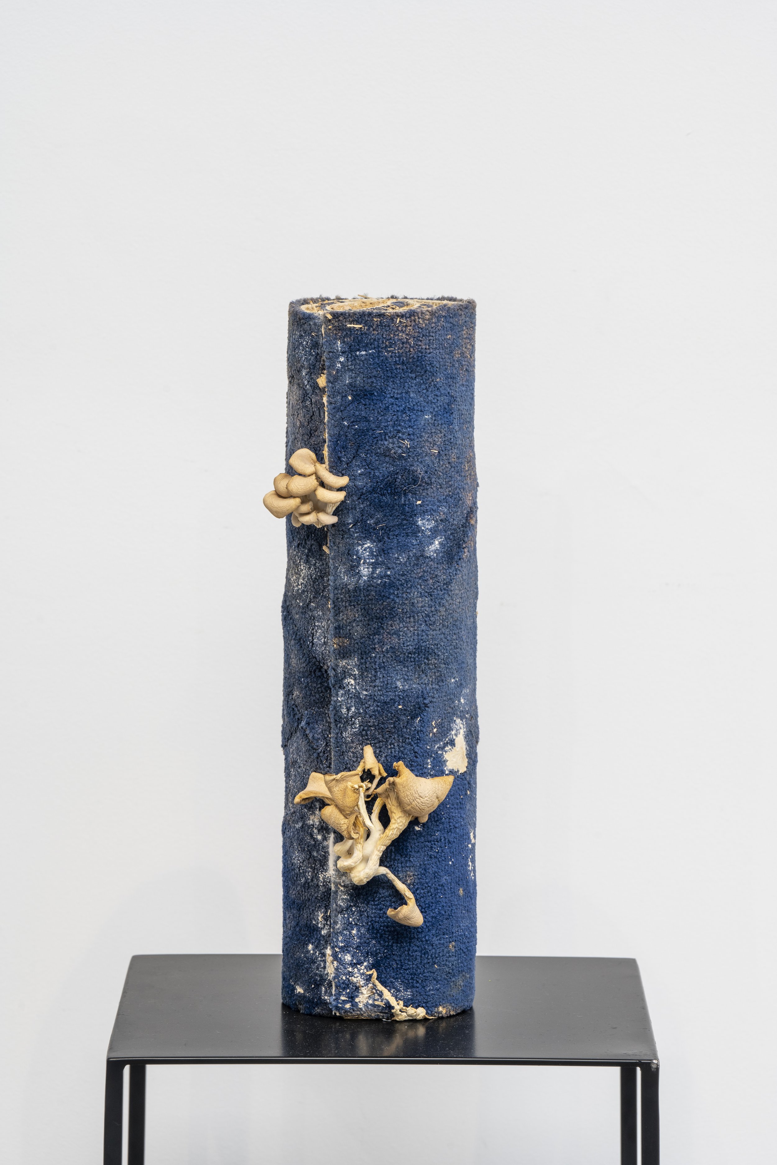 ARM211019-155.jpg