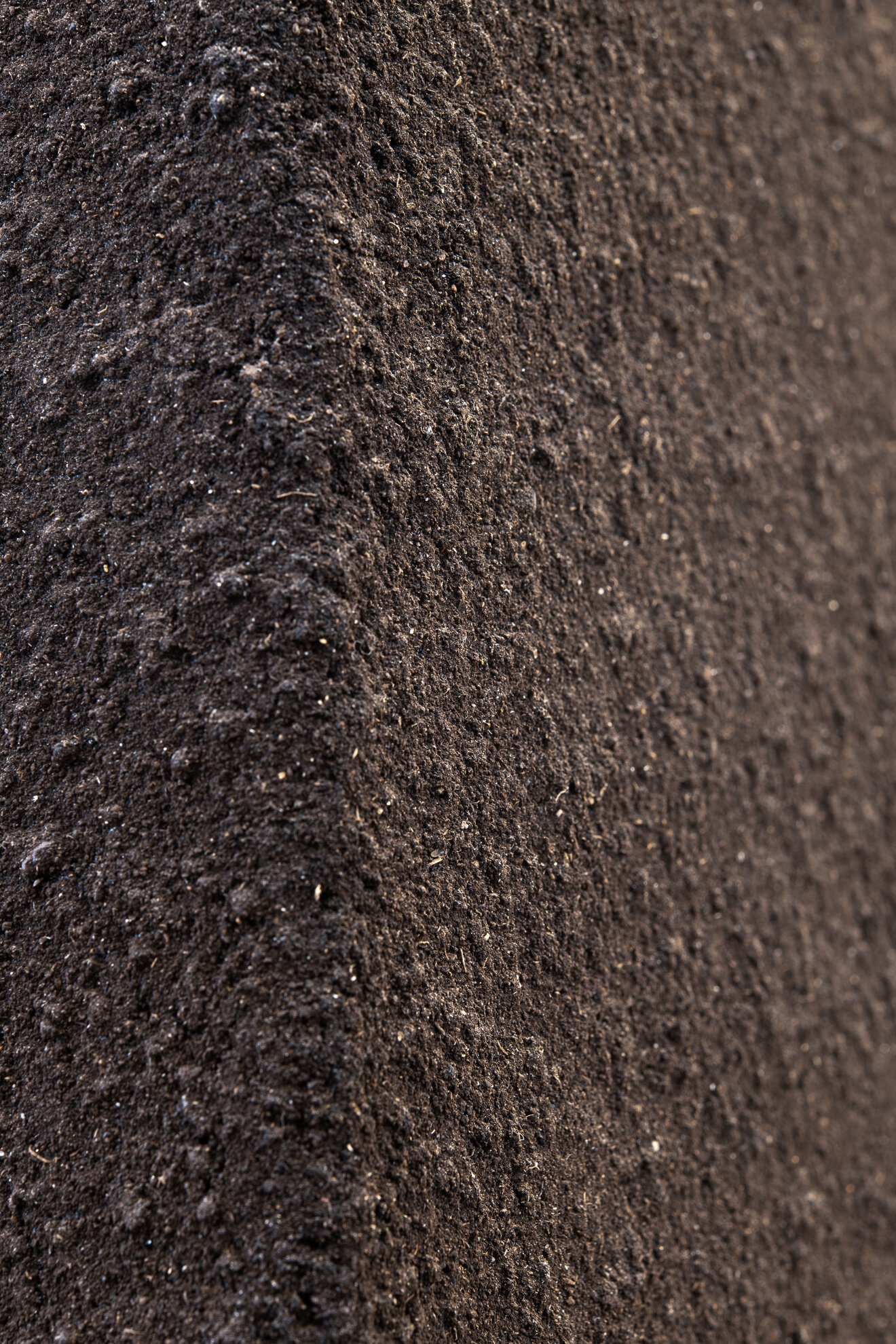 ARM210408-007.jpg