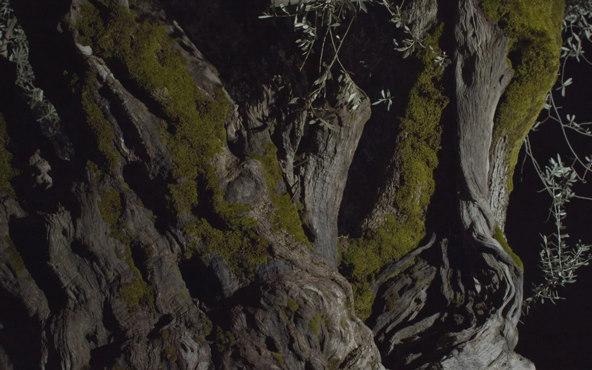 La Fondation LAccolade soutient le Pavillon libanais de la 17ème Exposition Internationale d’Architecture – La Biennale di Venezia.