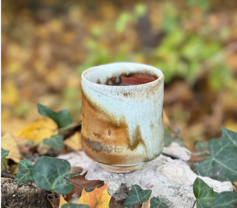 Screenshot 2026-01-31 at 11.17.18 AM.png