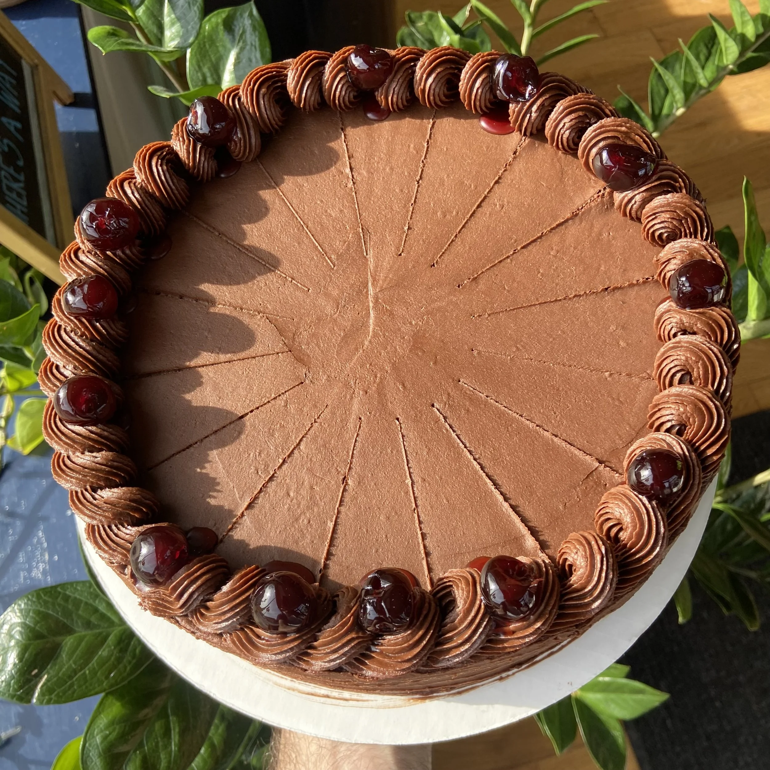 ChocCherryCake.jpg