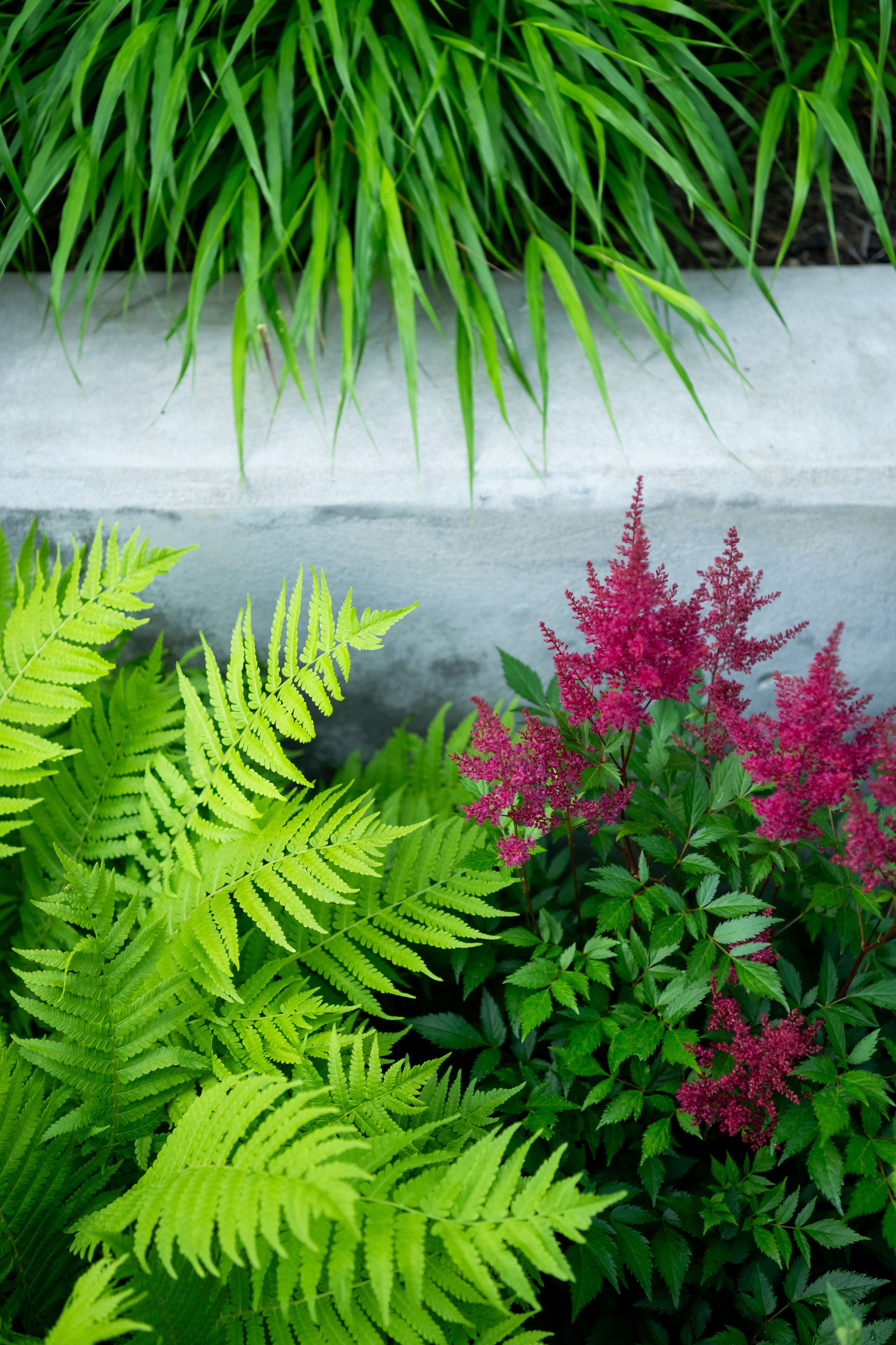 Modern landscape architecture by FORM Garden Design