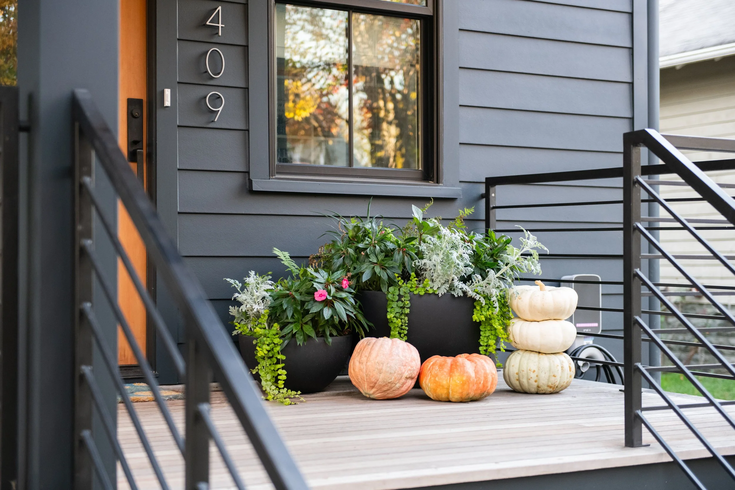 Orange pumpkins "pop" against the black modern farm house in Alexandria, Virginia.
