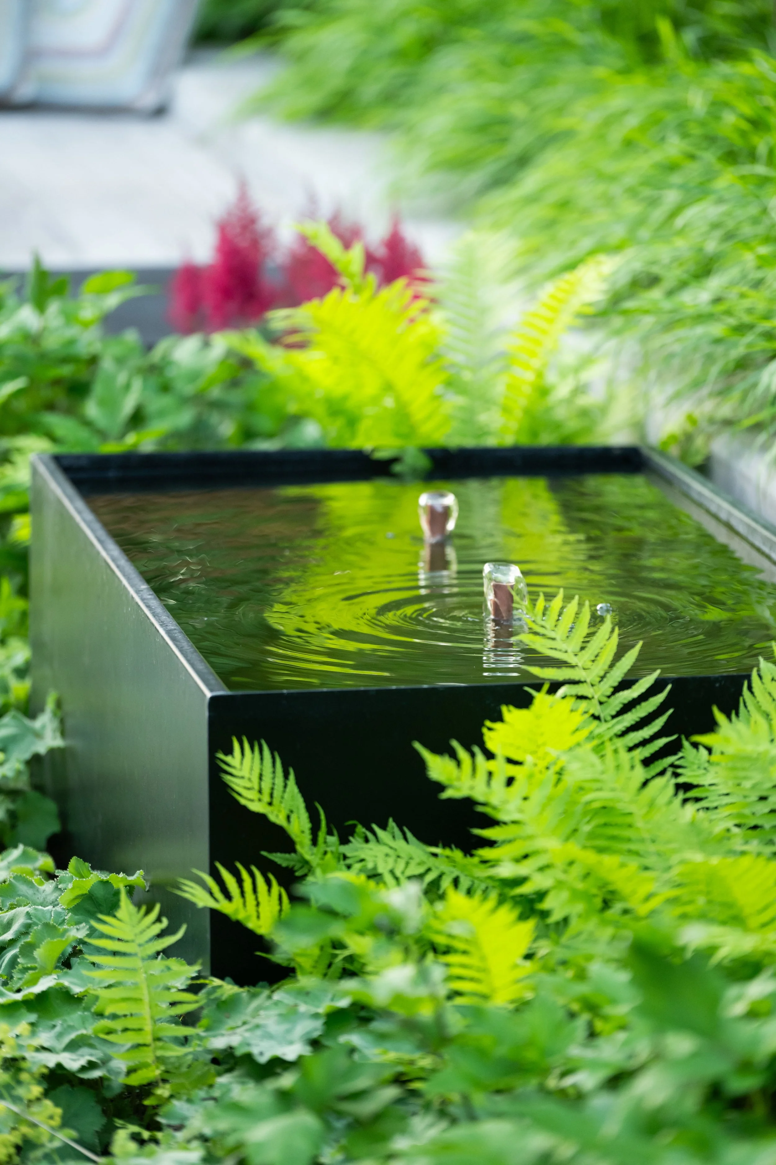 Urban garden design in Alexandria, Virginia by Kevin Gaughan with FORM Garden Design.