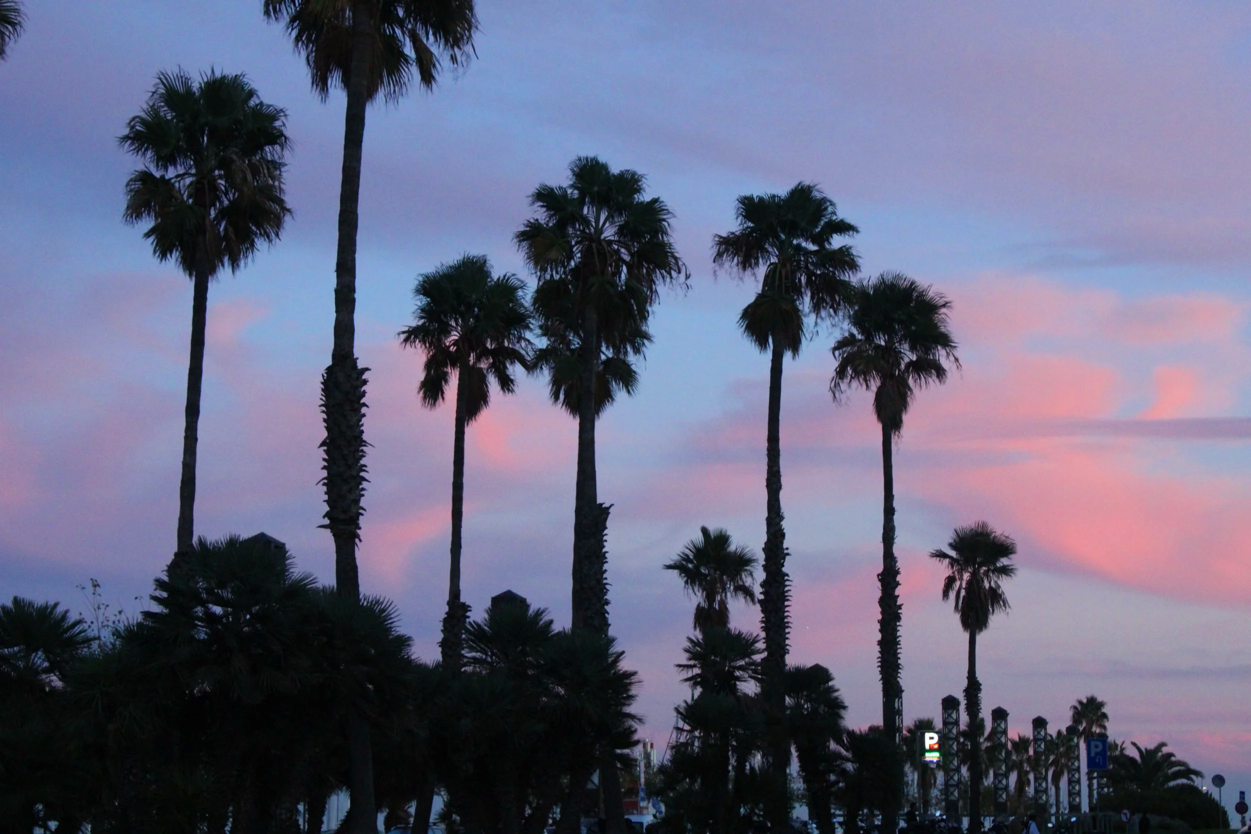 IMG_7578.png