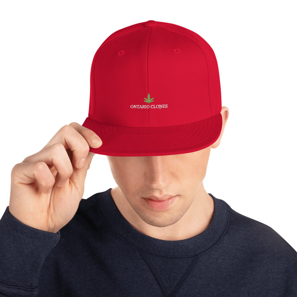 classic-snapback-red-front-60a7abc46c5ab.jpg