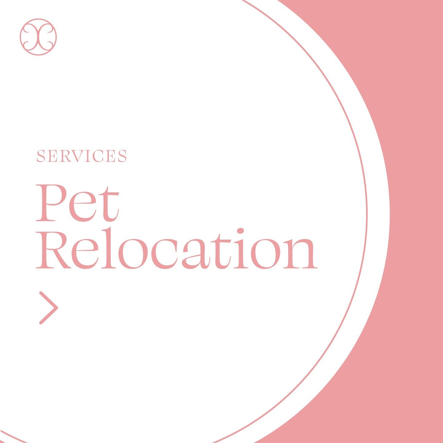 Pet relocation can be stressful, but our team of consultants will provide guidance to make the transition as easy as possible. We strongly recommend spending some time understanding our import laws - we have specific conditions (approved breeds, requ