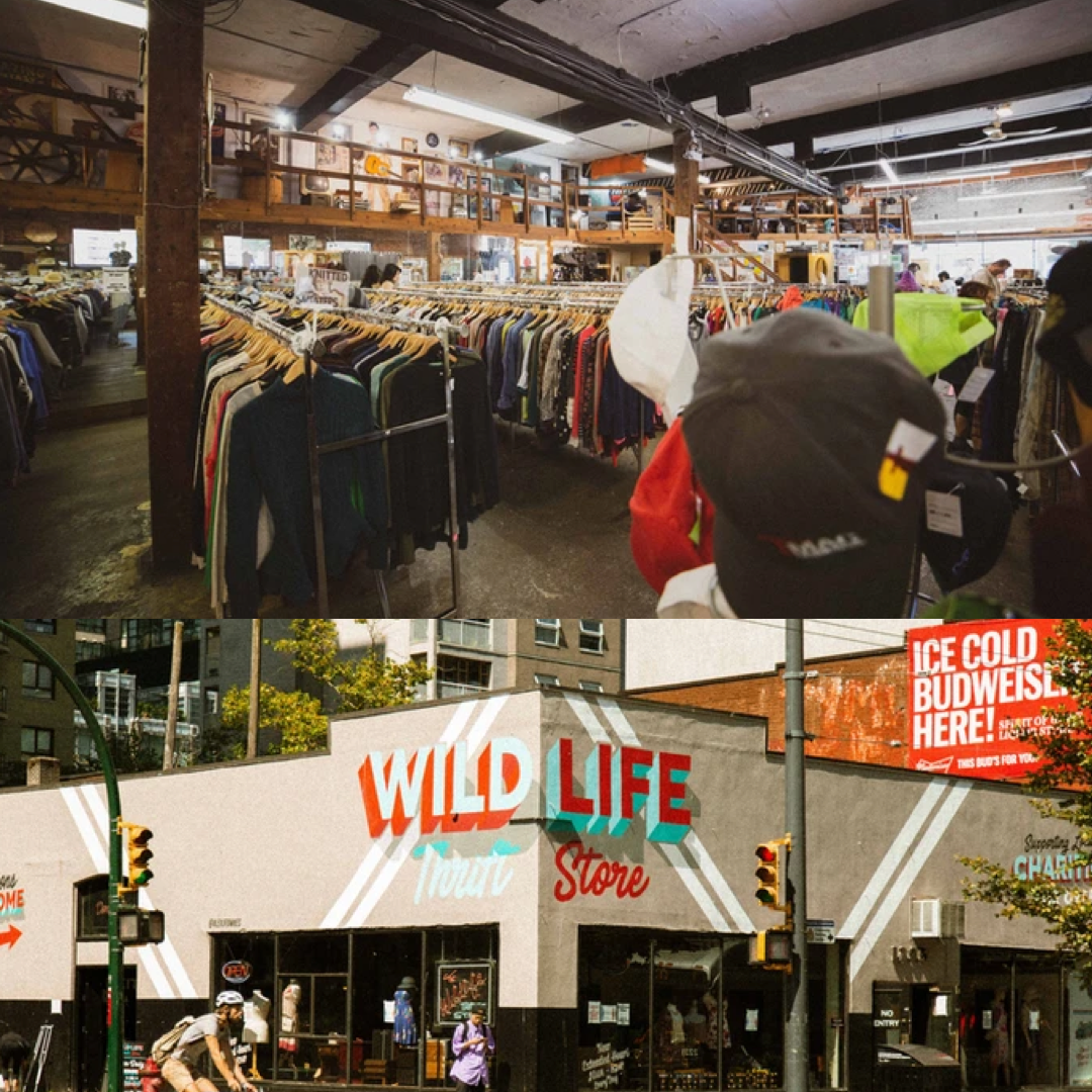Wildlife Thrift Store.png