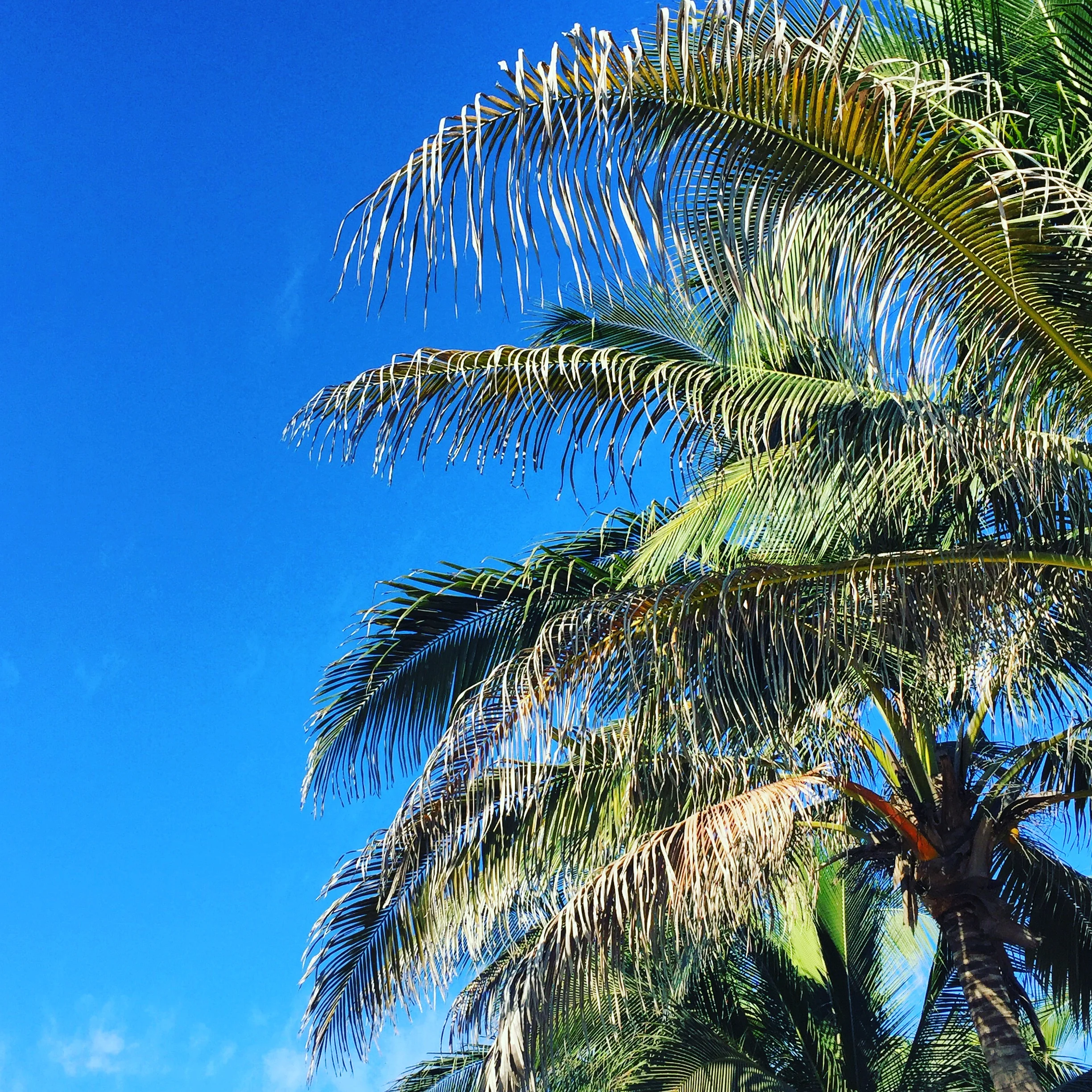 The Truth About Parenting In Paradise