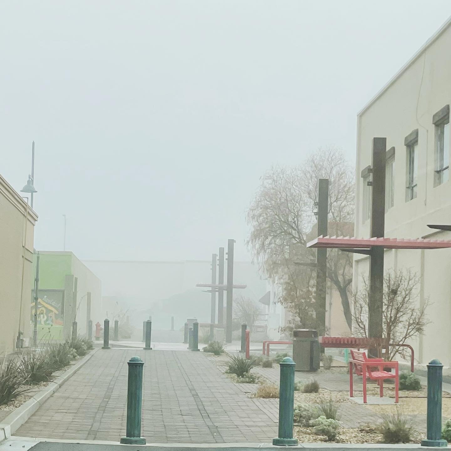 Foggy morning here in Las Cruces today. 🌫 📚☺️