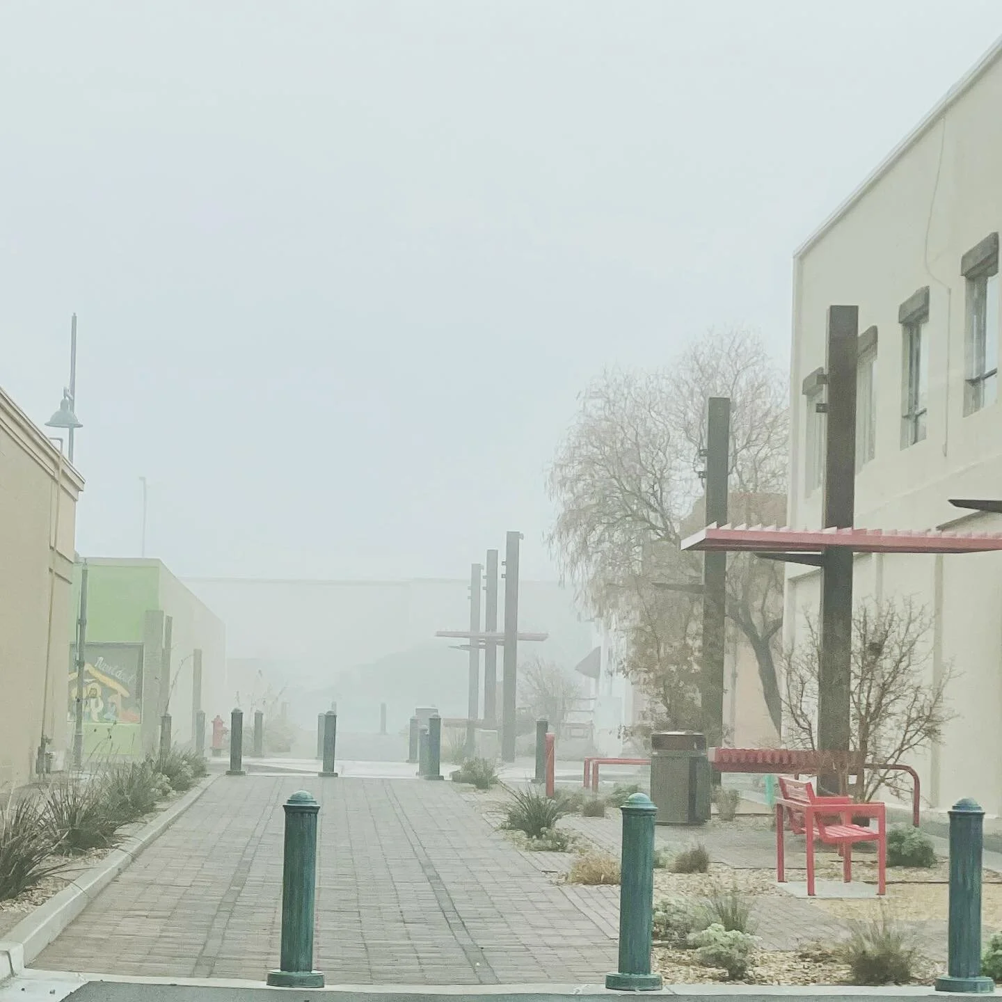 Foggy morning here in Las Cruces today. 🌫 📚☺️