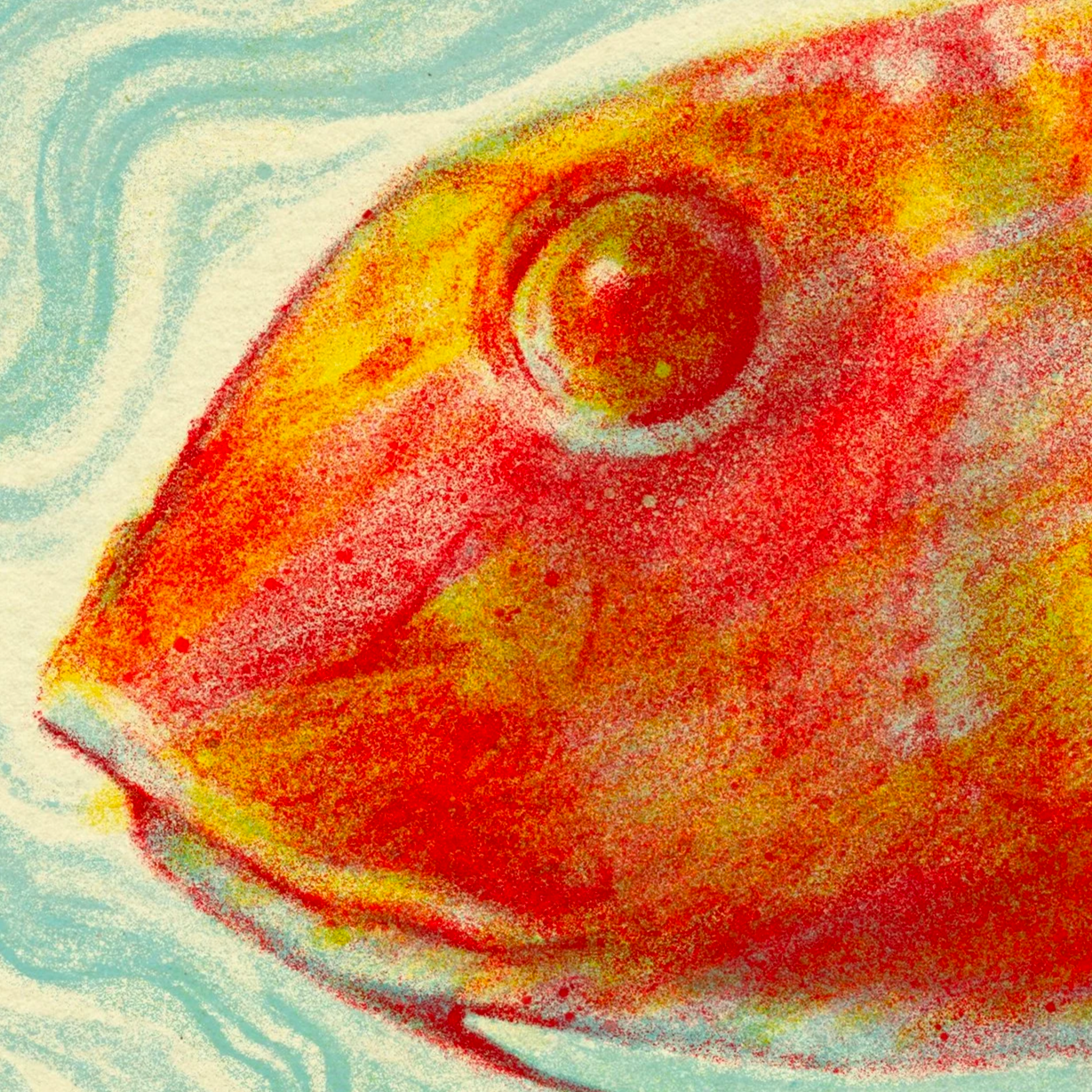 Something fishy