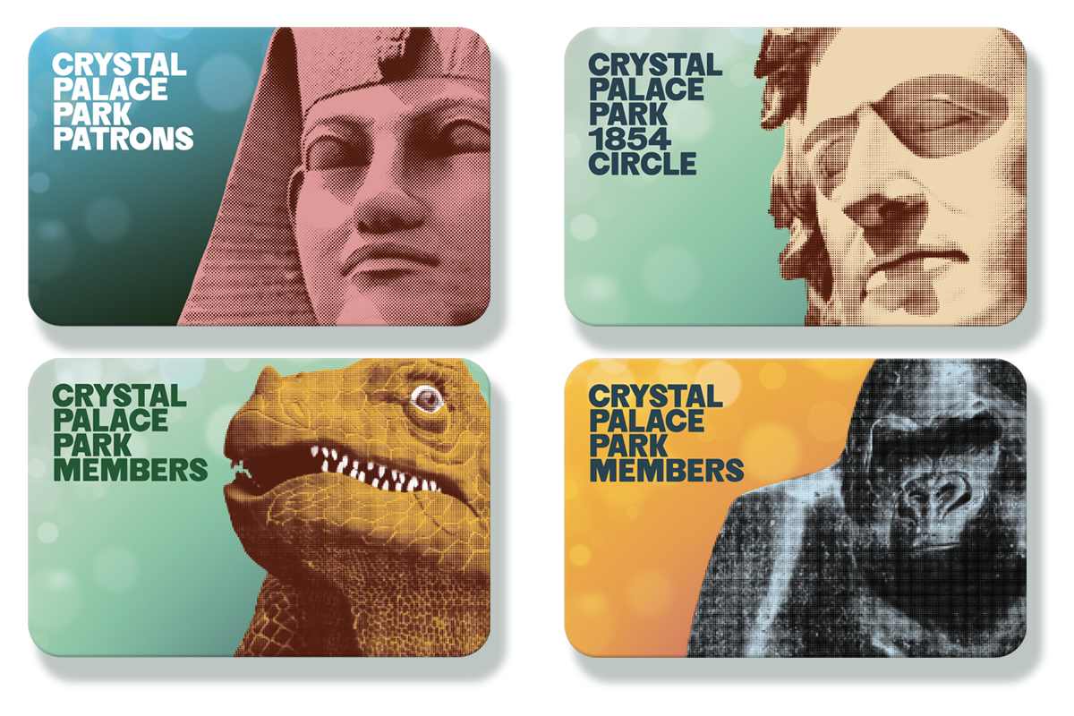 TCORNISH_SJA_APPLIC_IMAGE_memb cards.png