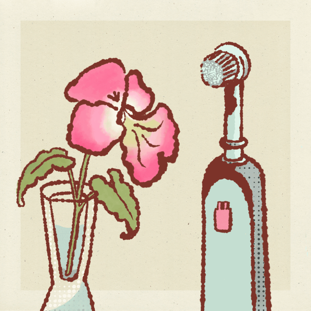 Tcornish pansy loop.gif