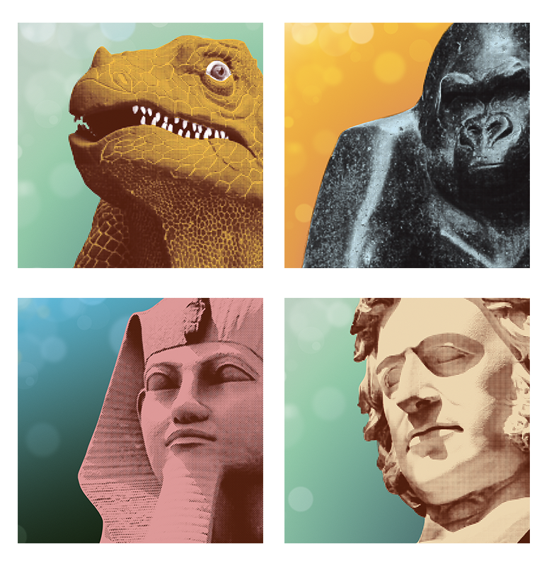 TCORNISH_SJA_APPLIC_IMAGE_SQUARES.png