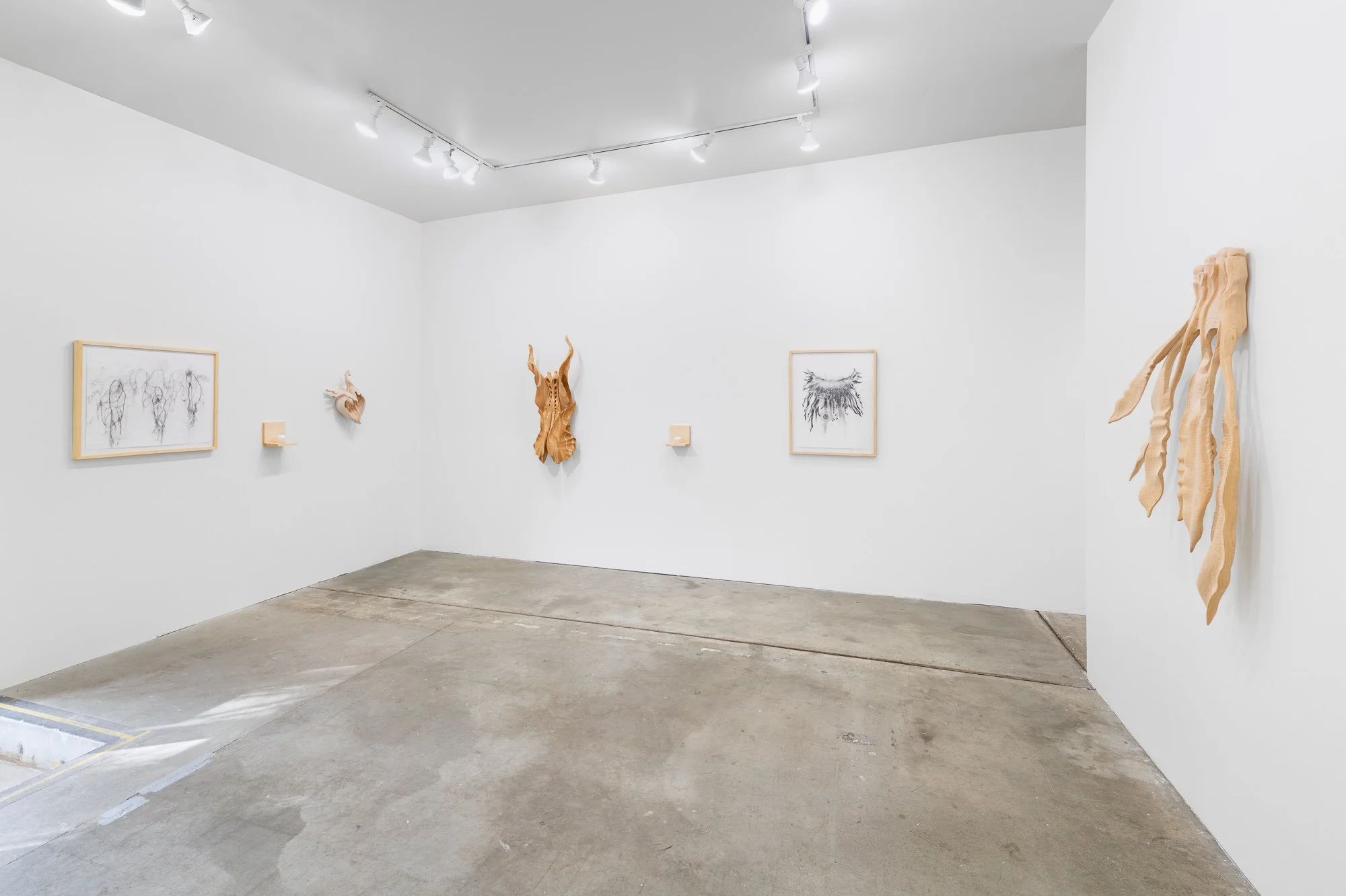 Affinity, 2026, exhibition installation view