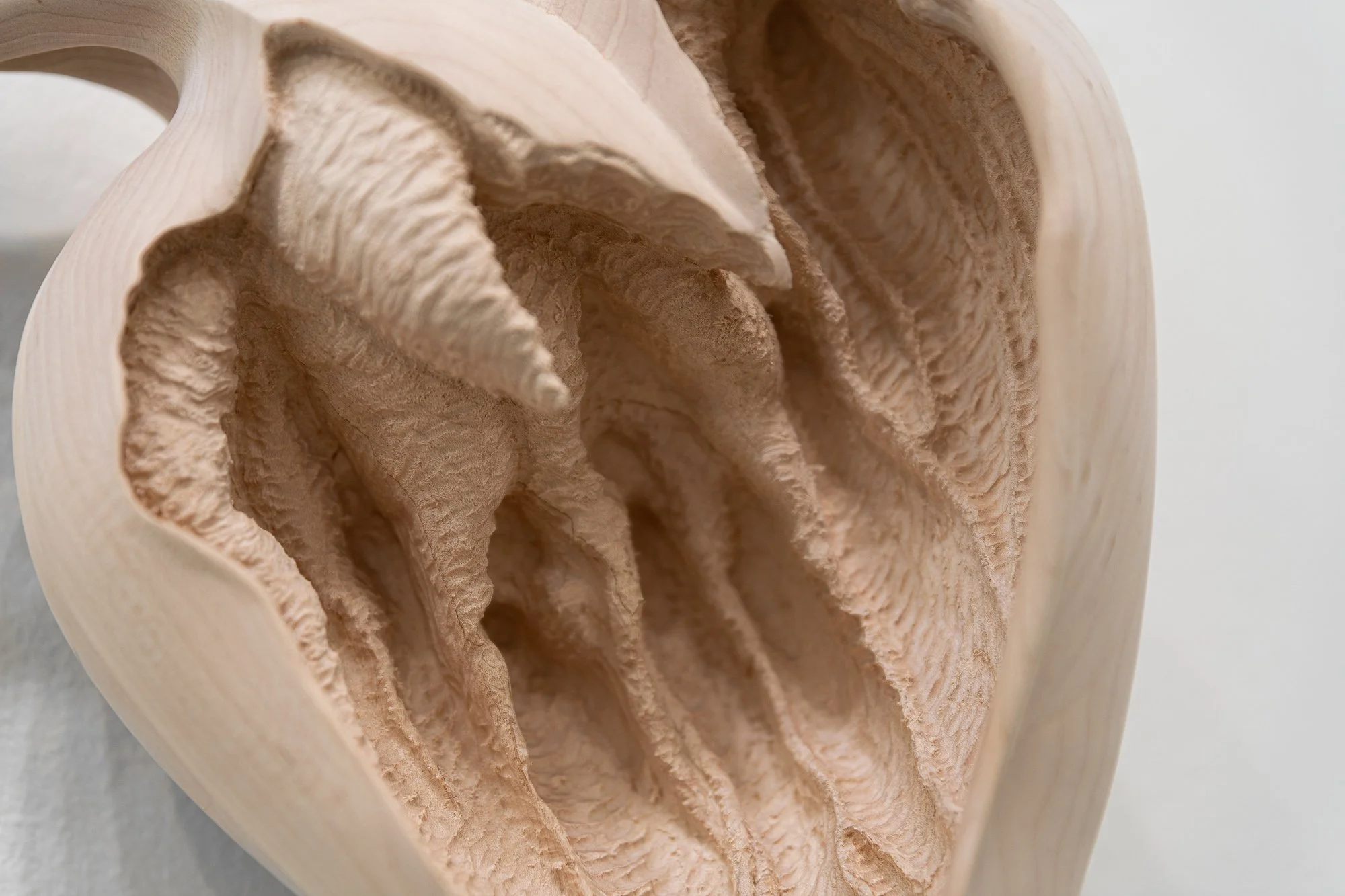 Affinity, 2026, exhibition installation view